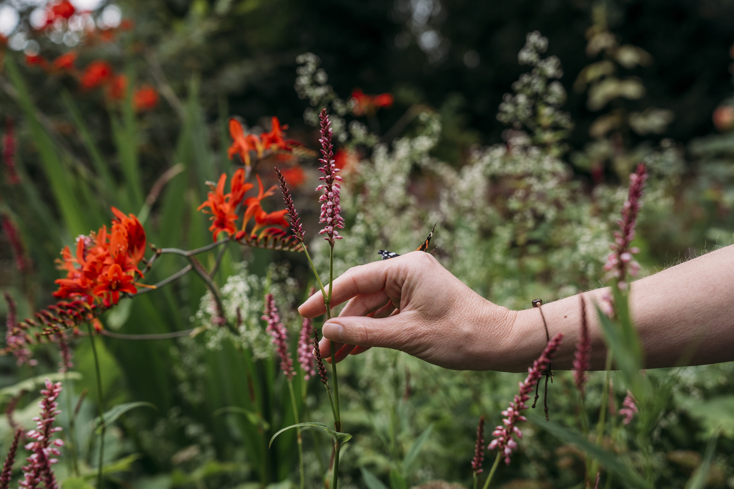 natuur trilling energie